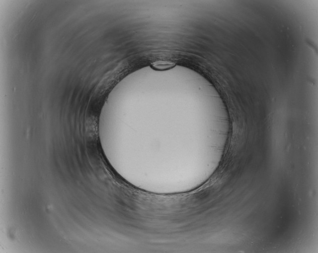 X0000101670048200807241450