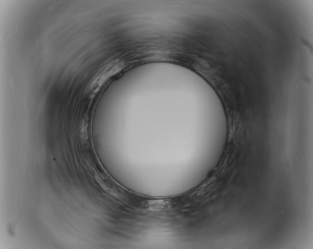 X0000101670050200807241450