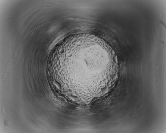 X0000101670051200807241450