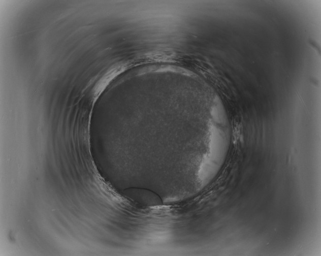 X0000101670052200807241450