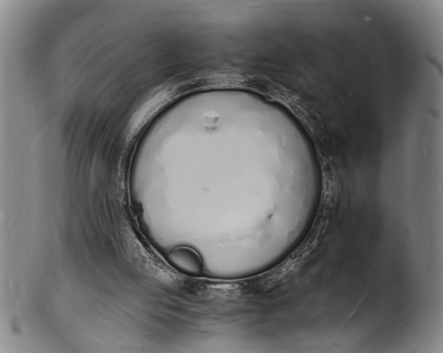 X0000101670053200807241450