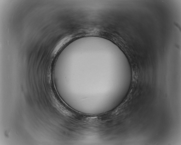 X0000101670054200807241450