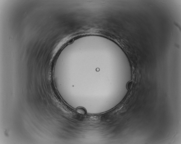 X0000101670056200807241450