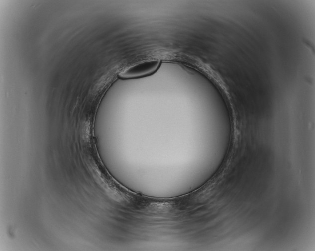 X0000101670057200807241450