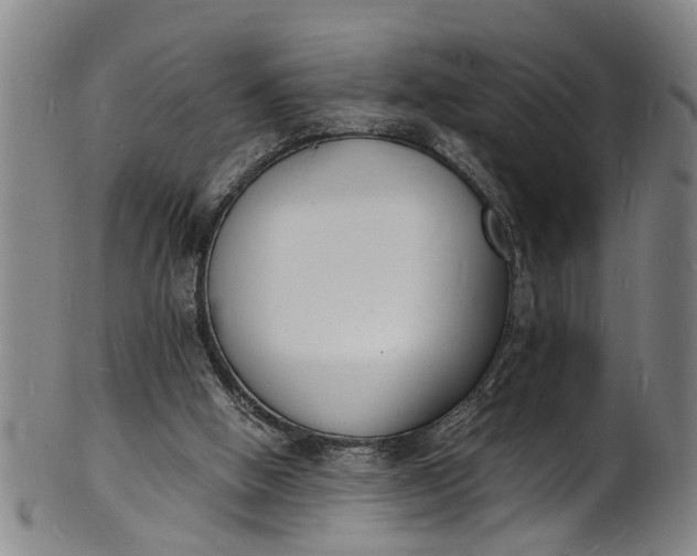 X0000101670058200807241450