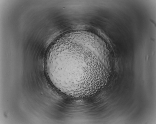 X0000101670059200807241450