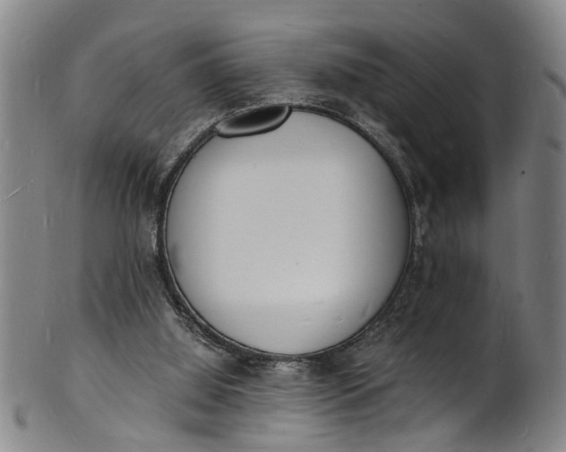 X0000101670060200807241450