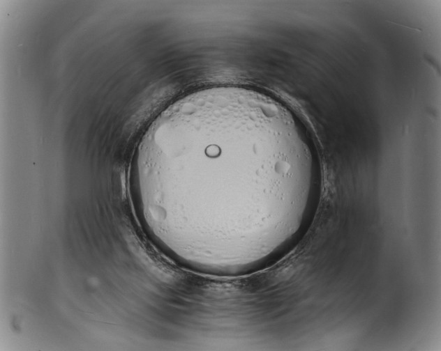 X0000101670061200807241450