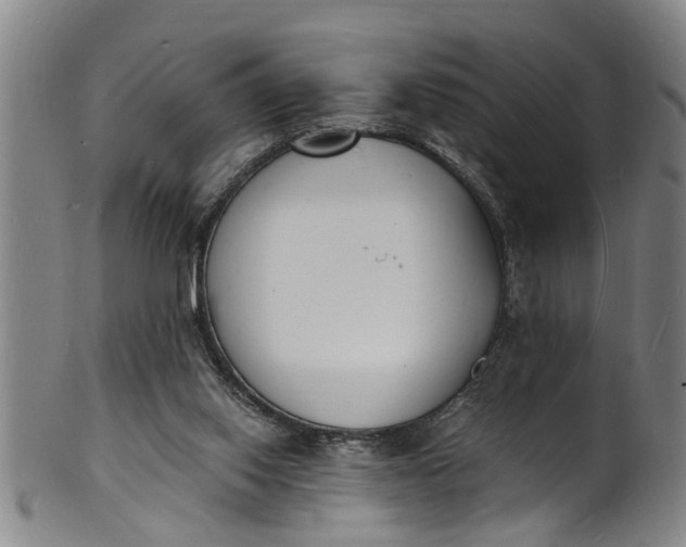 X0000101670062200807241450