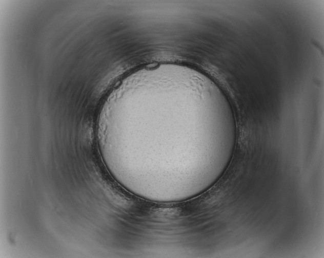 X0000101670063200807241450