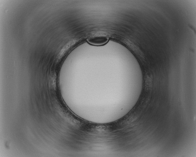 X0000101670064200807241450