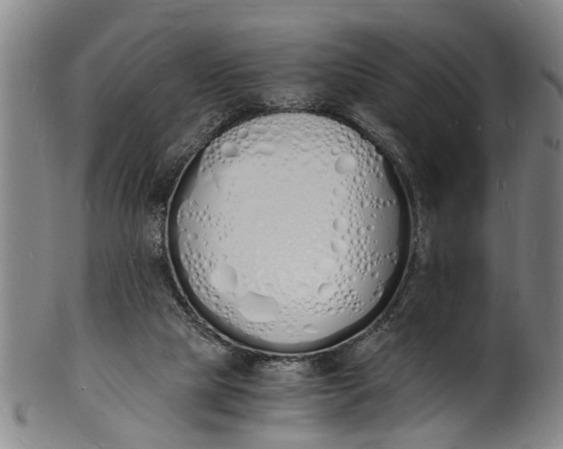 X0000101670065200807241450