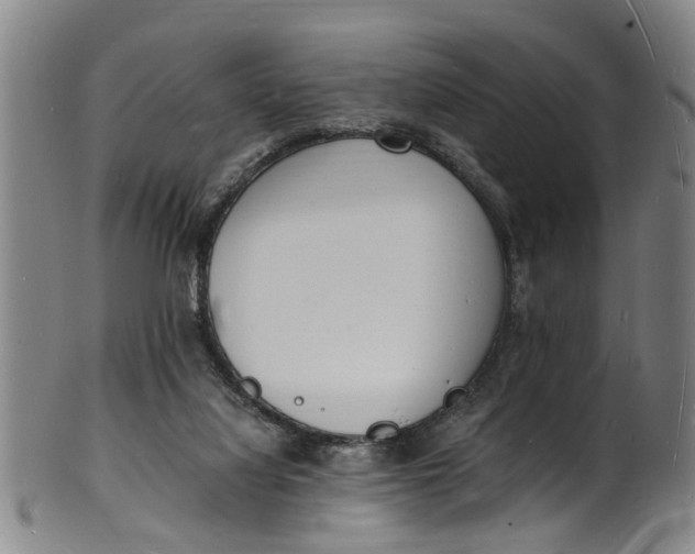 X0000101670068200807241450