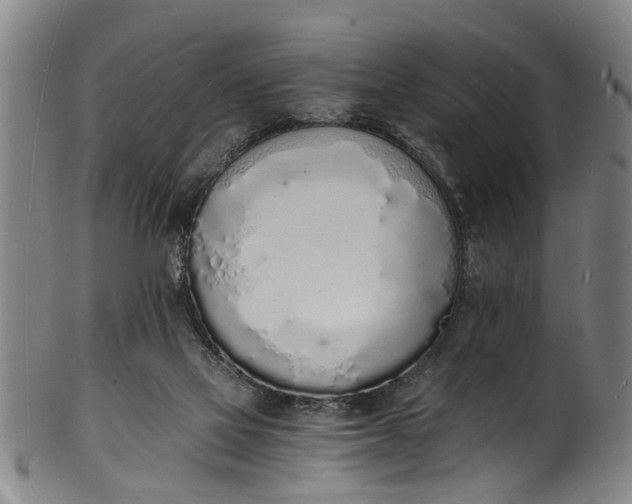 X0000101670069200807241450