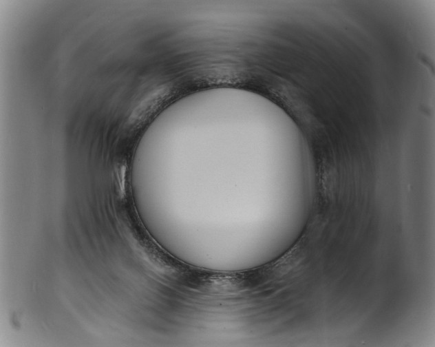 X0000101670070200807241450