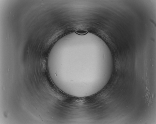 X0000101670071200807241450