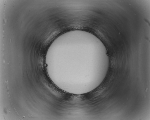 X0000101670072200807241450
