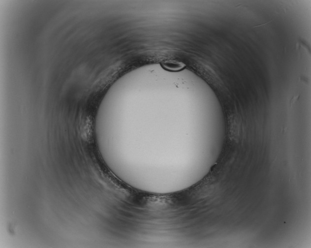X0000101670077200807241450