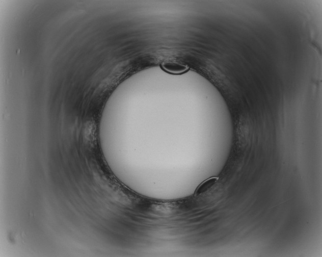 X0000101670079200807241450