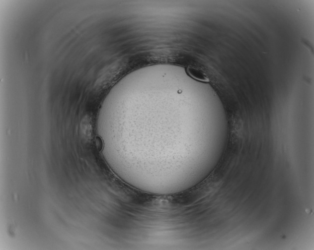 X0000101670080200807241450