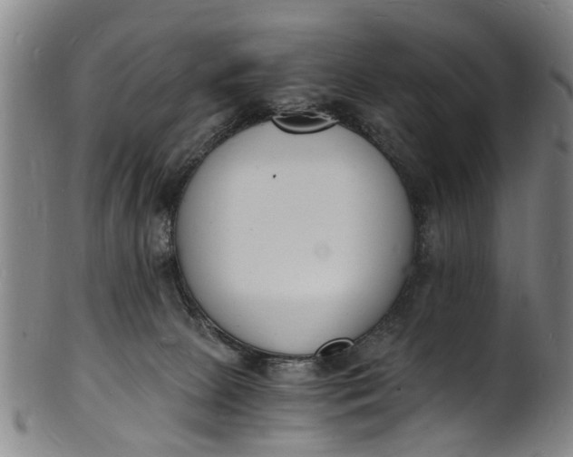 X0000101670081200807241450