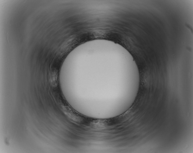X0000101670082200807241450