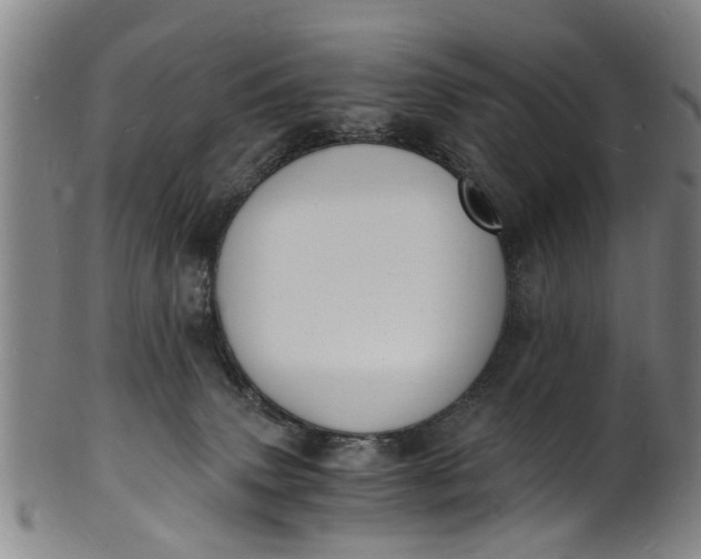 X0000101670083200807241450