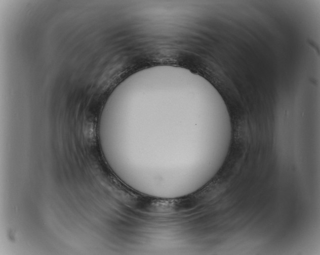 X0000101670084200807241450
