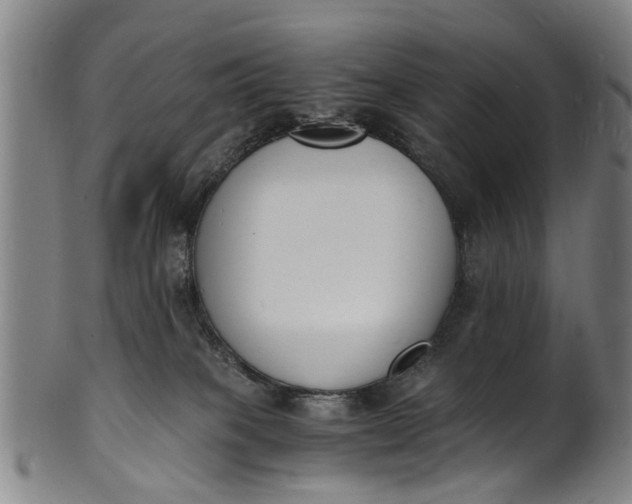 X0000101670085200807241450