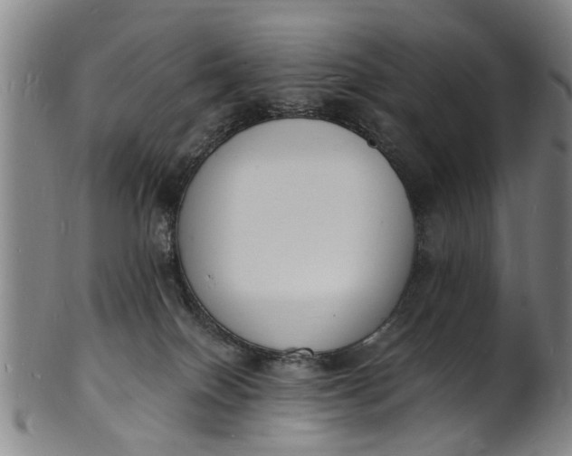 X0000101670086200807241450