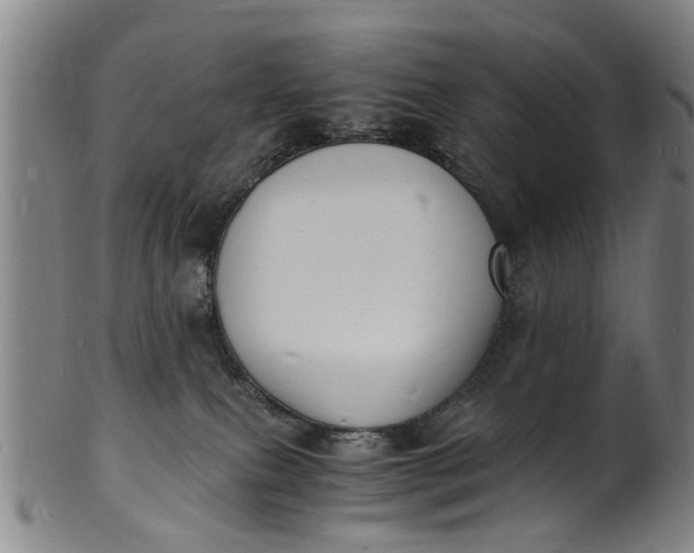 X0000101670087200807241450