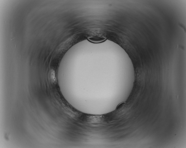 X0000101670089200807241450