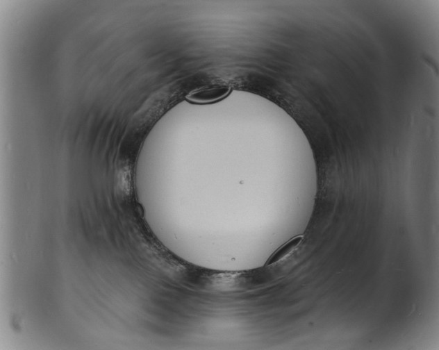 X0000101670090200807241450