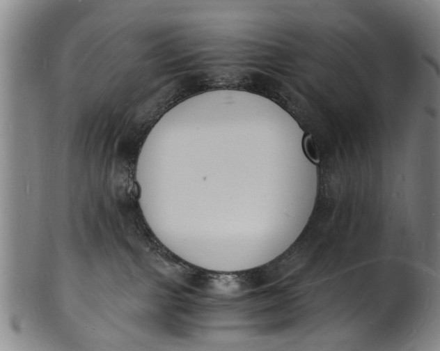 X0000101670091200807241450