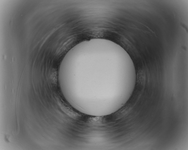X0000101670092200807241450