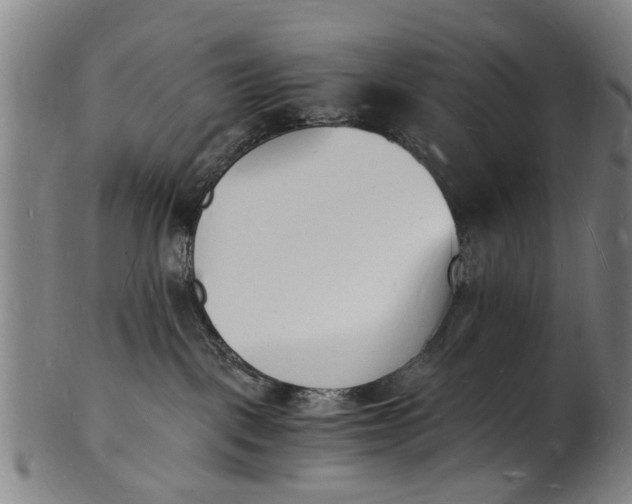 X0000101670093200807241450
