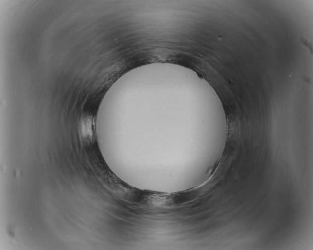 X0000101670094200807241450