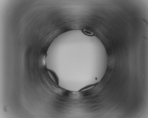 X0000101670095200807241450
