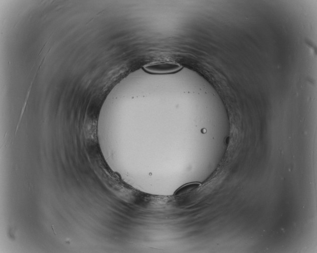 X0000101670096200807241450