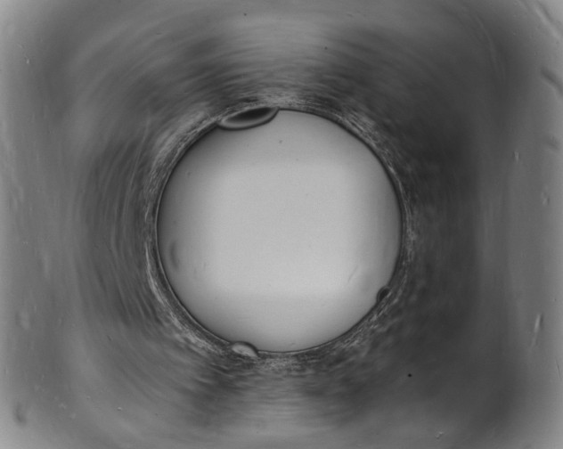 X0000101670097200807241450