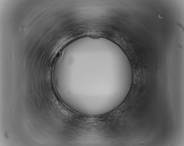 X0000101670098200807241450