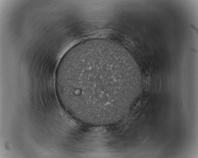 X0000101670100200807241450