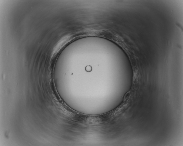 X0000101670101200807241450