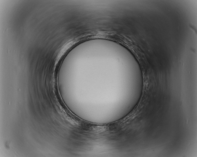 X0000101670102200807241450