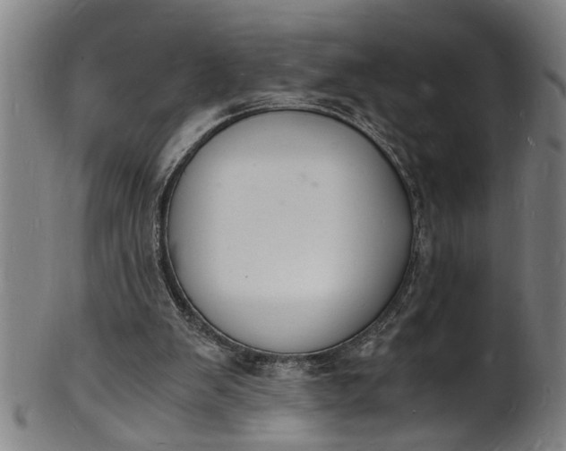 X0000101670103200807241450