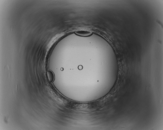 X0000101670104200807241450