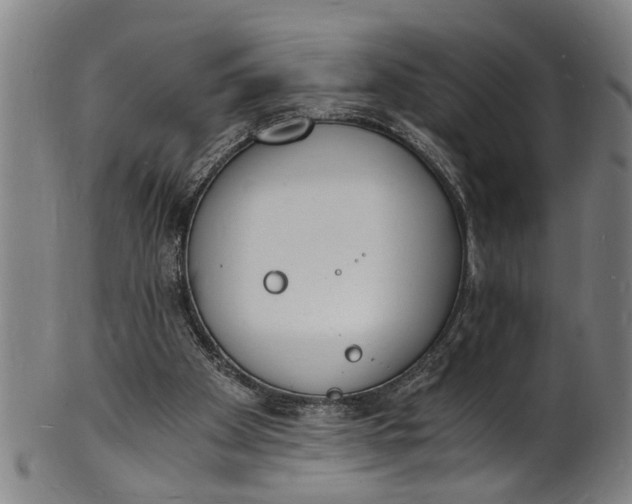 X0000101670105200807241450
