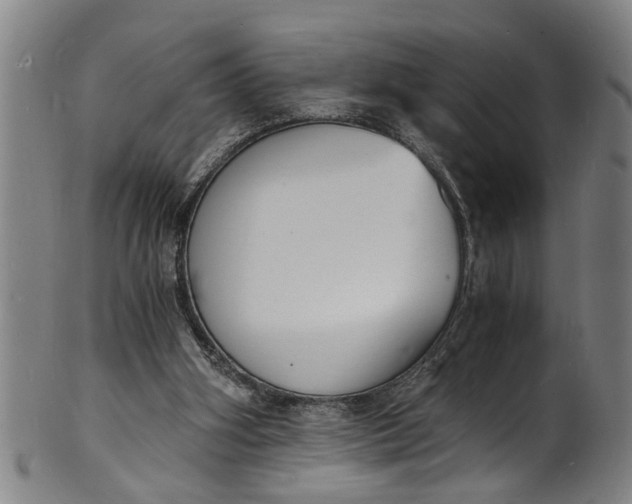 X0000101670106200807241450