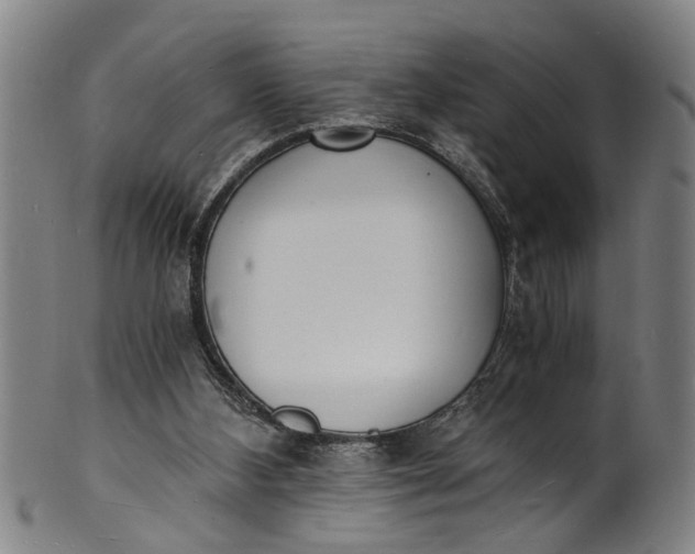 X0000101670108200807241450