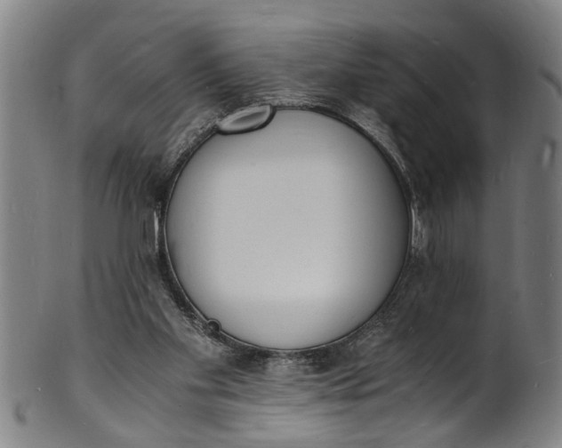 X0000101670109200807241450